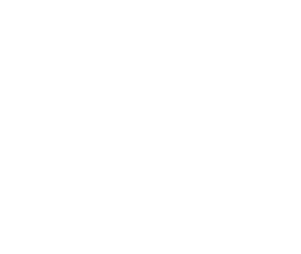 Fulgere White logo 2400x1800 (1)